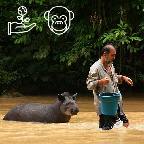 Volunteer Ecuador Wildlife Reserve Amazon