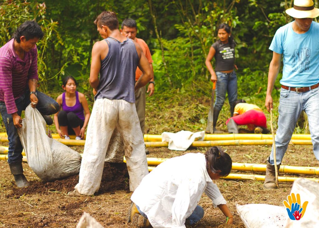 Voluntariado en Ecuador