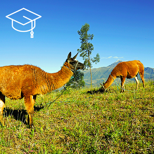 Learn Spanish near Otavalo